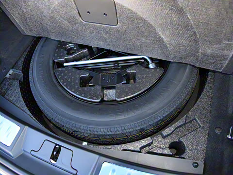 2021�� ����L P300e ������