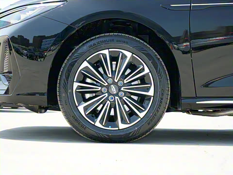 2025�� 145km ������