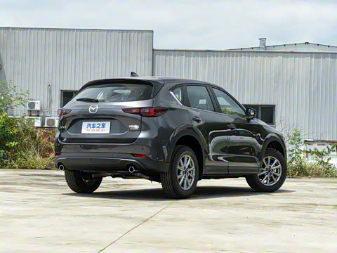 2025�� 2.0L �Զ���������Pro