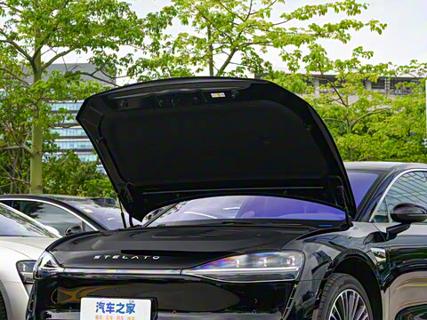 2025�� ���� Max