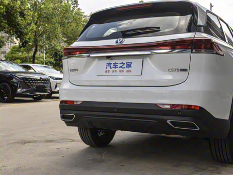 2025�� PRO 1.5T DCT ������ 7��