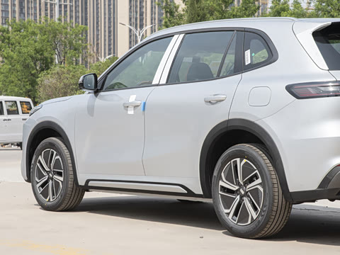 2025�� 55km ������