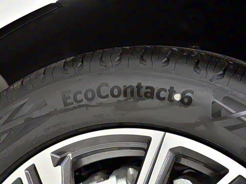 2024�� �Ŀ� ���� ��������ɭ�ְ� ����