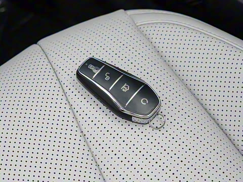 2025�� DM-i 170�캽Plus��