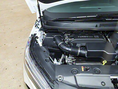 2025�� ½�Ϲ���� ������