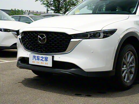 2025�� 2.0L �Զ���������Pro