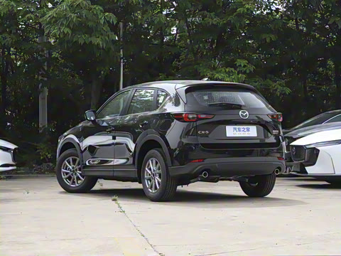 2024�� 2.0L �Զ�����������