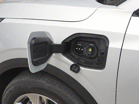 2025�� 445km ���ð�