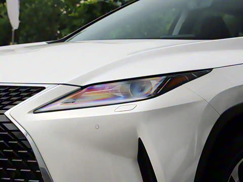 2020�� �Ŀ� 300 ������Ӣ��