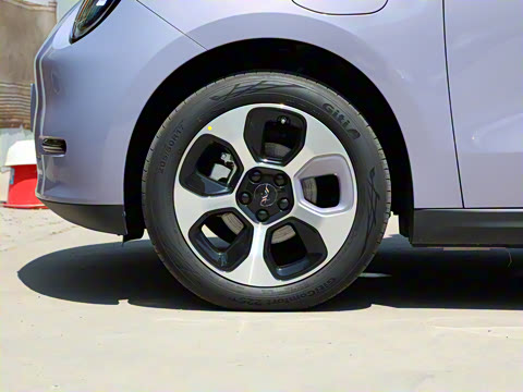 2023�� 505km Pro