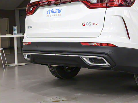 2023�� PRO 1.5T DCT��Ӣ�� 7��