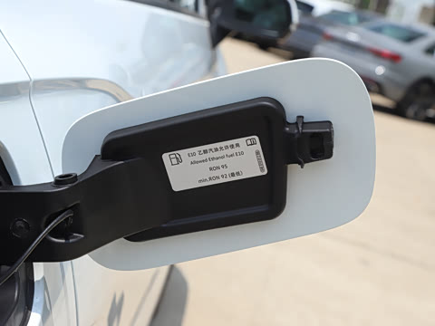 2025�� �Ŀ� ������ 300TSI