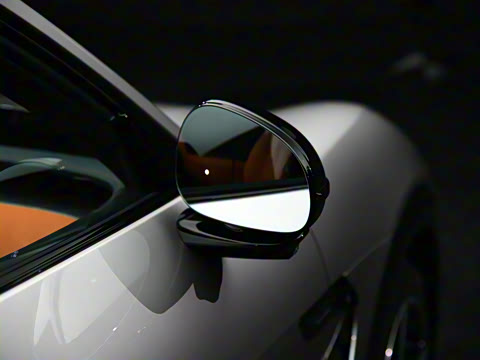 2025�� ������������������Max��