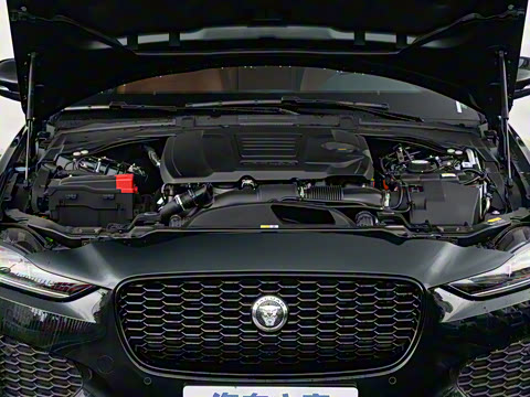 2025�� 2.0T 250PS R-DYNAMIC 90�����ذ�