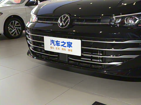 2025�� Pro 300TSI ��ҫ��