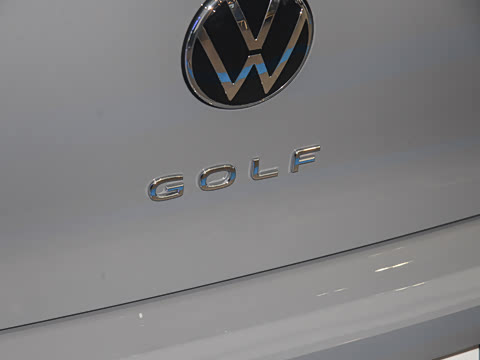 2025�� �Ŀ� 300TSI Pro