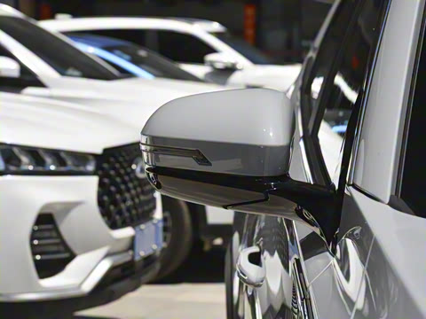 2022�� 290T ������嫰� 5��