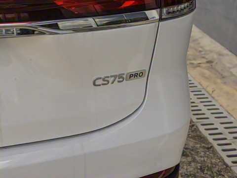 2025�� PRO 1.5T DCT ������ 7��