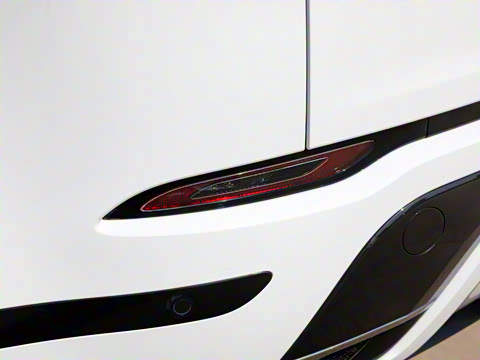 2022�� ����L P300e ���ʽ�綯��ϰ�