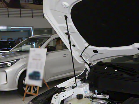 2025�� 165km ���������������� 7��