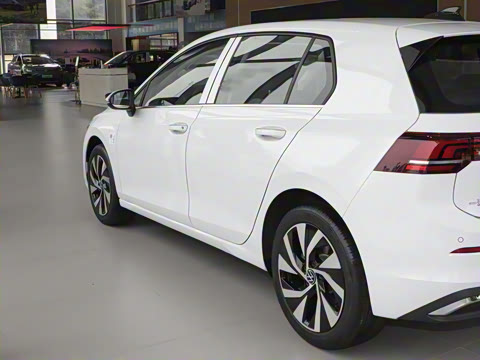 2025�� �Ŀ� 300TSI Pro