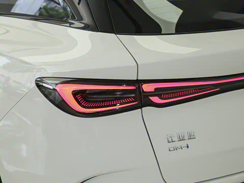 2025�� DM-i 80KM�����