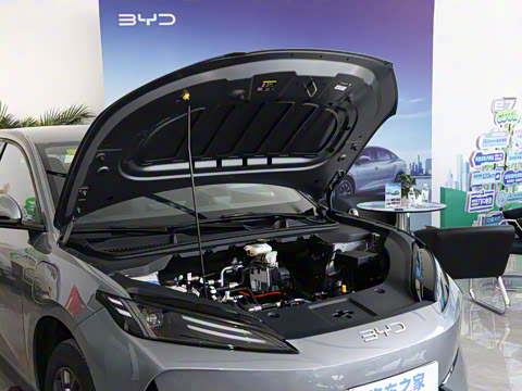 2025�� 520�ǻݰ�