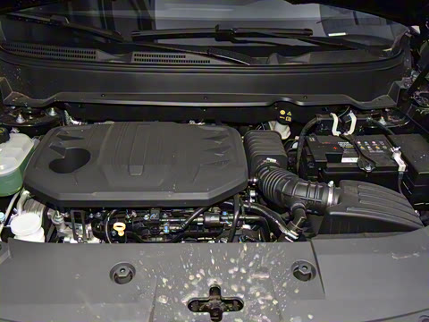 2025�� 1.5T �Զ������� 7��