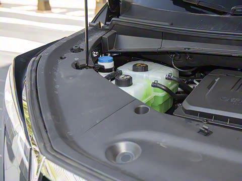 2025�� Ǭ��ϵ�� Max ������