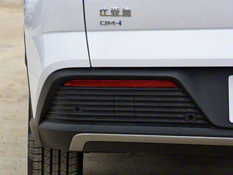 2023�� �ھ��� DM-i 110KM��Խ��