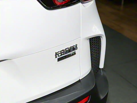 2023�� 2.0L ���а�