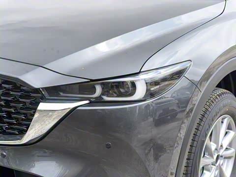 2025�� 2.0L �Զ���������Pro