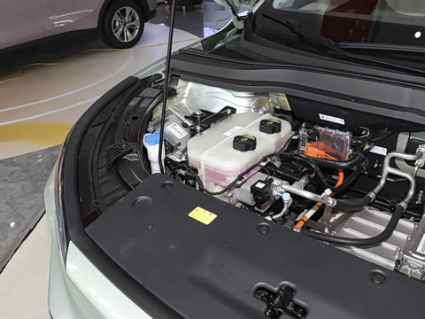 2025�� 565km ������