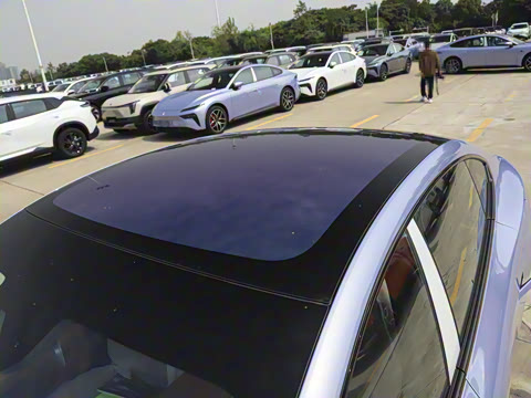 2025�� ���� 230ProѲ����