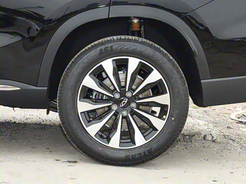 2025�� 290TGDI DCT�˷�� 