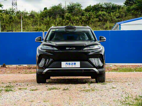 2025�� 135 �����ܼ����״��