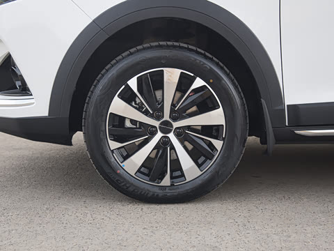 2022�� 1.6L �ֶ�������-�ഺ��