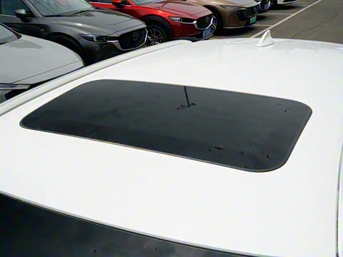 2025�� 2.0L �Զ���������Pro