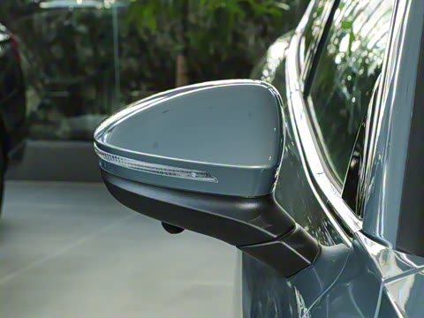 2024�� 300TSI DSG������