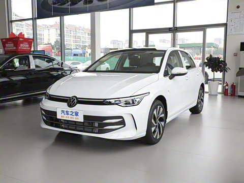 2025�� �Ŀ� 300TSI Pro