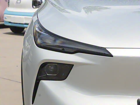 2025�� 445km ���ð�