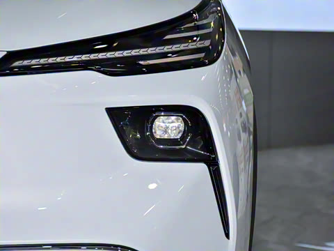 2025�� 445km ��ѡ��