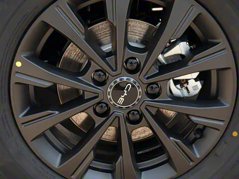 2025�� 520�ǻݰ�