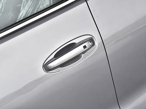 2023�� 4.6L V8 �캽��