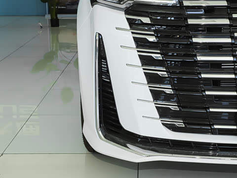 2025�� MAX 2.0T �Զ������� ���� 7��