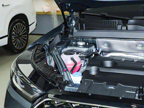 2025�� 290TGDI DCT�˷�� 