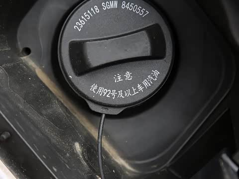 2019�� 1.5T �ֶ��������������� ��VI