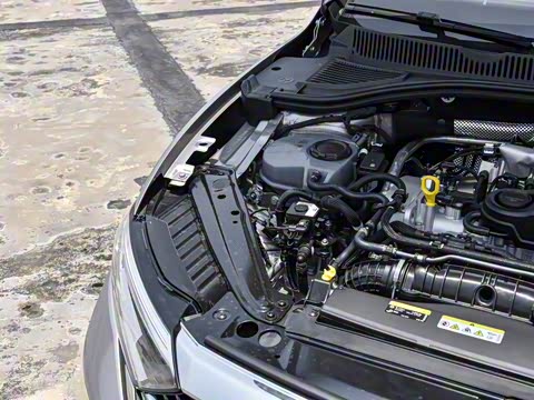 2025�� �Ŀ�� 300TSI DSG��Խ��