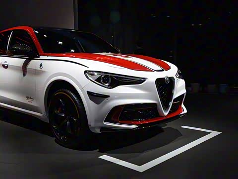 2019�� 2.9T 510HP F1������