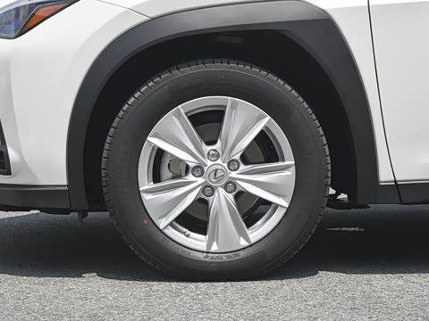 2022�� 260h ̽��Ȥ��